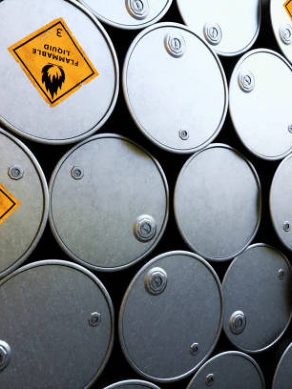 NOTE FOR REVIEWERS: This image is a 3D render and does NOT have a corresponding vector file.